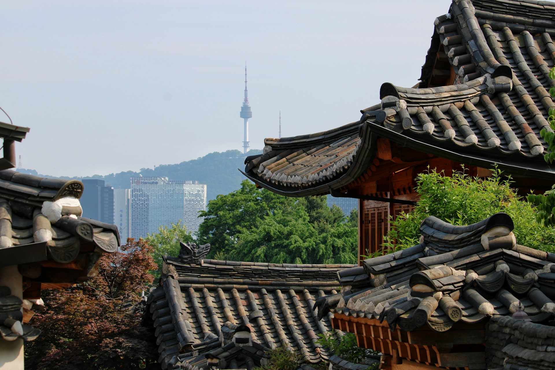 박수홍·손헌수 부부, 함께한 6인의 태교 여행